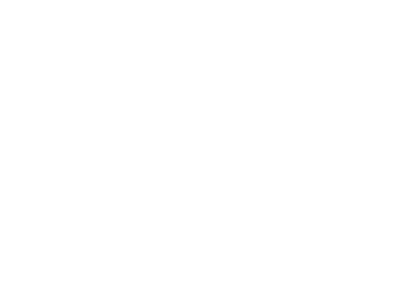 LVB
